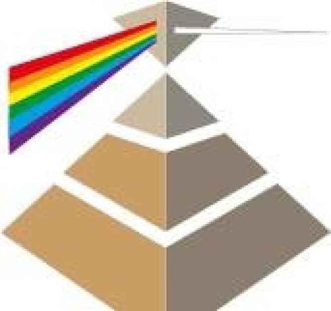 Logo Wise Use International B.V.